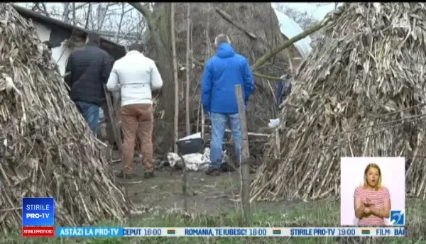 Oase și cenușă găsite în grădina unei femei din Botoșani. Concluzia sinistră a anchetatorilor