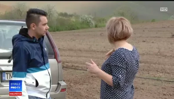 Idee de afacere, susținută internațional. Cât pot câştiga românii din plantaţiile de alune