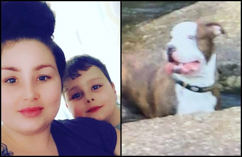 Băiețelul sfâșiat de câine a fost lăsat singur mai multe ore. Mama lui se distra cu un prieten