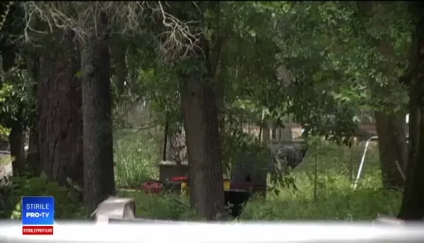 Bărbat ucis de pasărea exotică pe care o creştea. Cum s-a petrecut tragedia