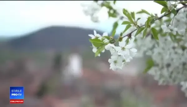 Reacţia turiştilor după ce mănâncă pentru prima dată "chisătură". "Un lucru copleşitor"