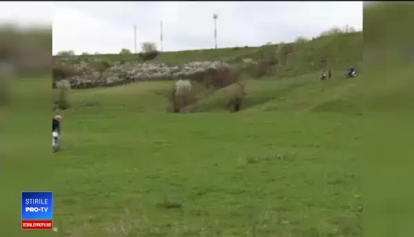 Arii protejate, distruse după o decizie a Guvernului. O poiană cu narcise a fost arată