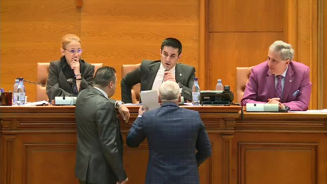 Scandal în Parlament, la votul privind referendumul. Deputatul Rădulescu a sărit să-l apere pe Manda