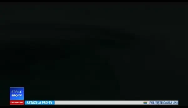 Pinguinul Steve, personajul unui documentar Disney despre schimbările climatice