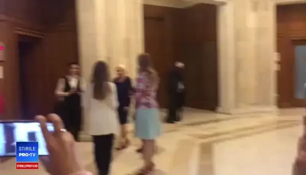 Dragnea și Dăncilă au discutat înainte de ședința CEX: ”Suntem Guvern politic”