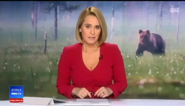 Trei urși s-au urcat pe mașini și au răsturnat tomberoane în Bușteni