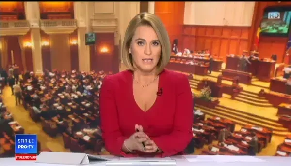 Scandal în Parlament, la votul privind referendumul. Deputatul Rădulescu a sărit să-l apere pe Manda