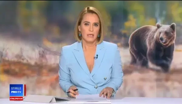 Au ucis o ursoaică, după care au aruncat cu bere pe ea: „Pomana porcului, hai să trăim”