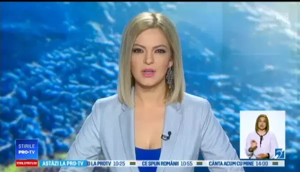 Gestul unor muncitori, după ce au găsit un pui de urs rătăcit de mama lui