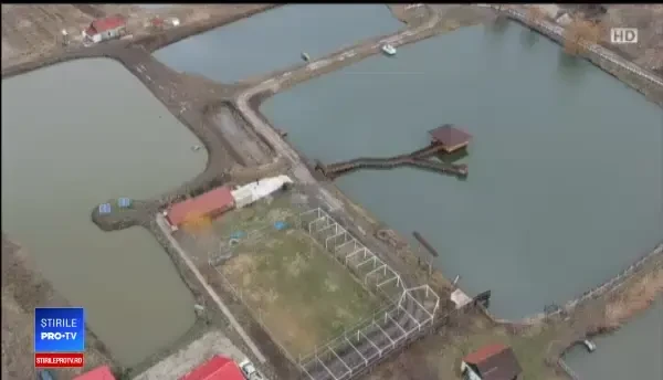 Ideea unor tineri pentru a atrage pescarii amatori. Cum se pot relaxa alături de familie