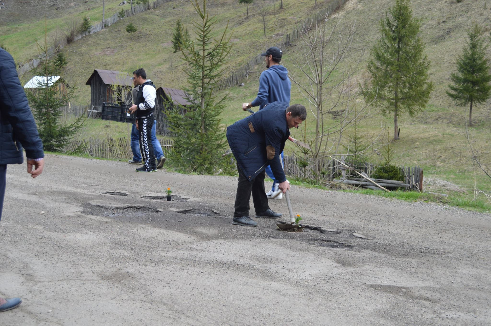 Flori puse de localnici în gropile unui drum, în semn de protest: ”A băgat țara în noroi”