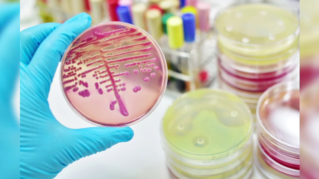 Alertă. Al doilea caz de meningită meningococică în câteva zile. Cine este pacienta