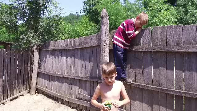 Salvati Copiii Romaniei