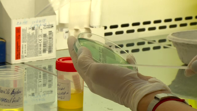 Trei elevi de la Liceul Lazăr, purtători sănătoși de meningococ. Anunțul medicilor