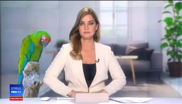 Motivul pentru care un papagal vorbitor a fost "arestat". Ce striga pasărea