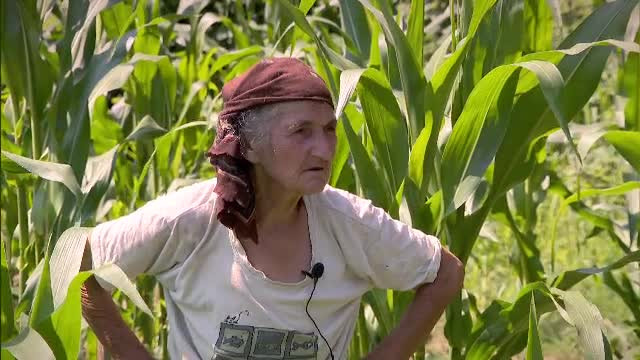 Salvati Copiii Romaniei - Ovidiu