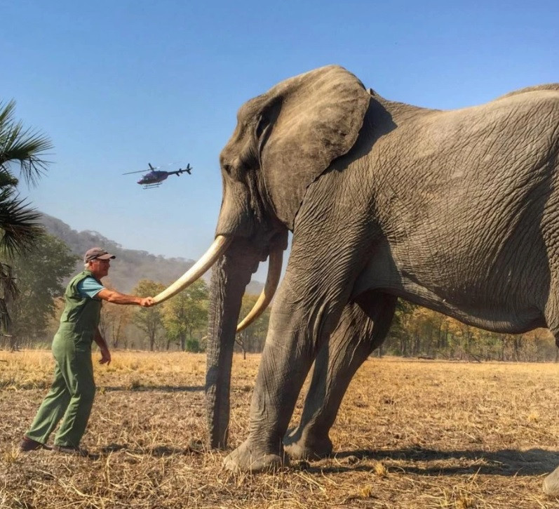 Prințul Harry, acuzat de „manipulare”. Imaginea care a stârnit controverse