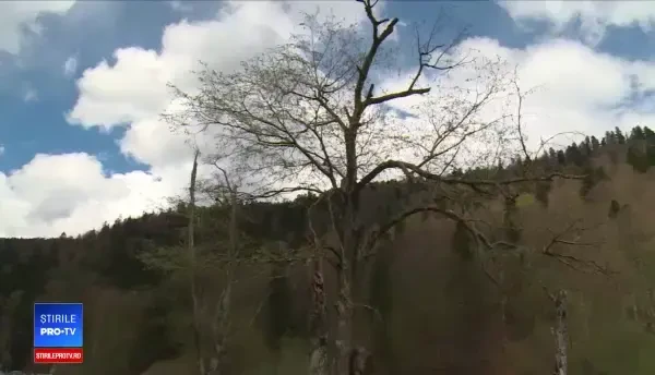 Tradiționalul grătar din a doua zi de Paște. Turiștii din China au preluat obiceiul