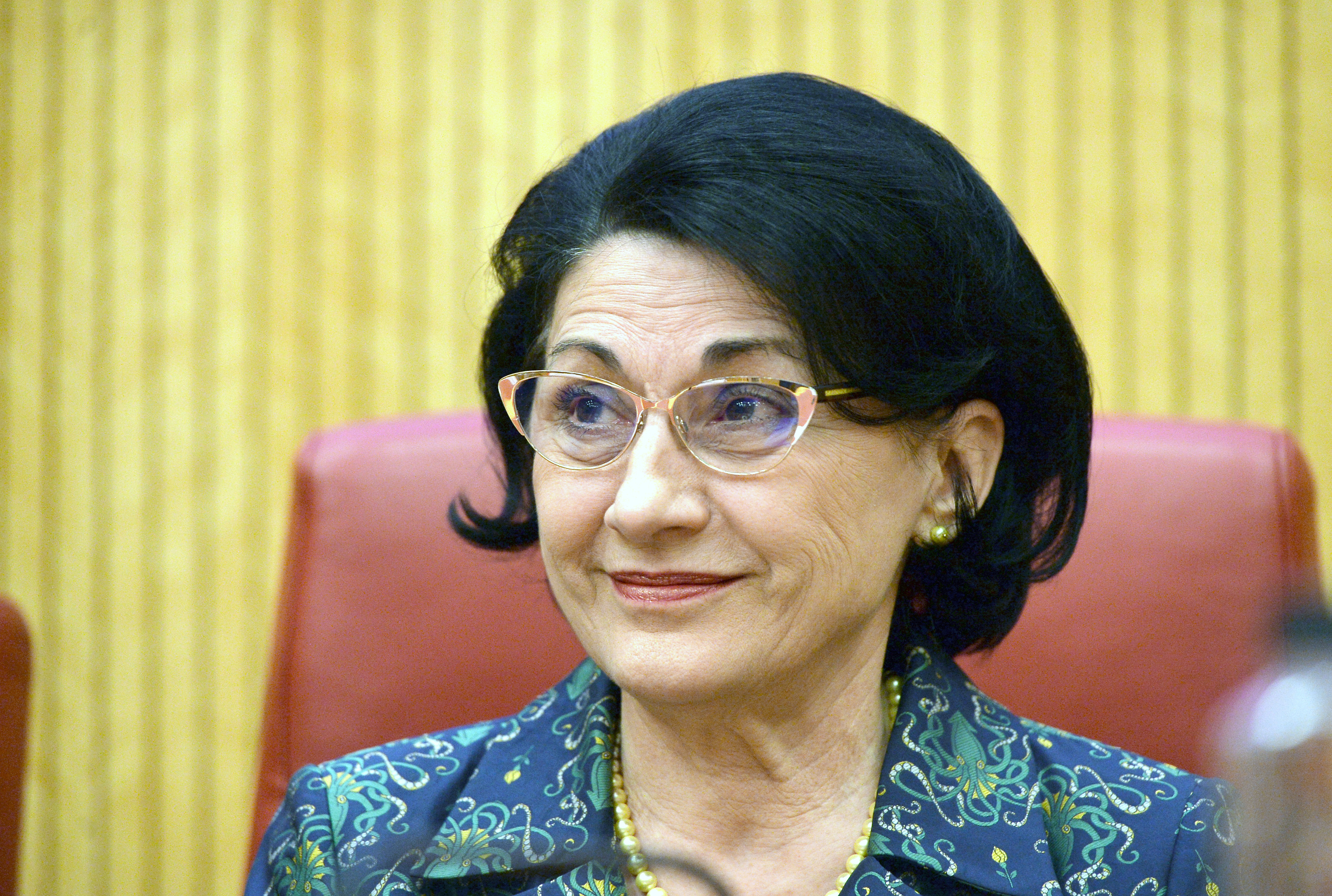 Ministrul Ecaterina Andronescu are o nouă idee. Ce spune despre școlile profesionale