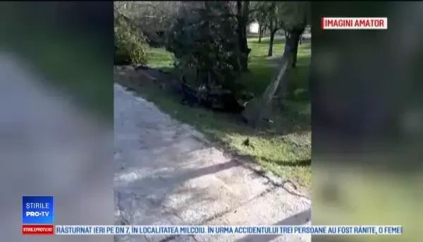 Vica Blochina, despre moartea lui Răzvan Ciobanu: „Era foarte nervos, căuta mașină”