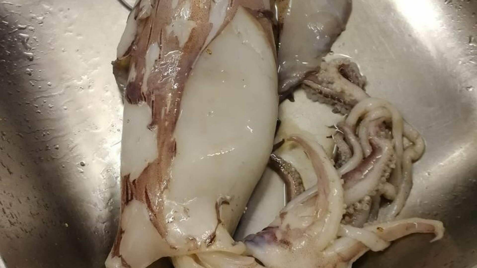 A cumpărat un calamar din piaţa fără să îşi dea seama cu ce pleacă acasă. GALERIE FOTO