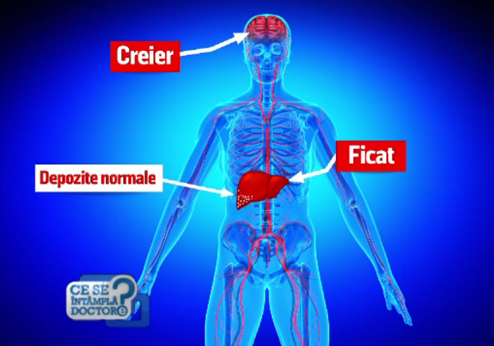 De ce este bine să mâncăm grăsimi, însă zahărul este nociv. Ce se întâmplă în organism