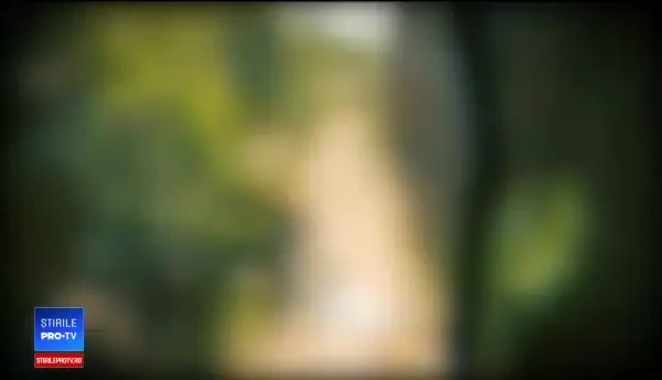 Tânărul ucis de tren, la Voluntari, asculta muzică în căști. Ce spun martorii