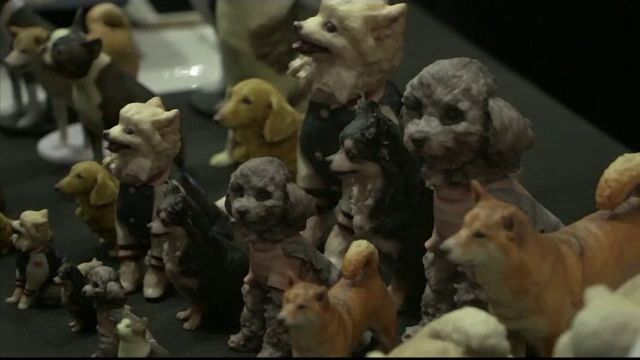 Țara în care sunt mai multe animale de companie decât copii. Stăpânii le fac statui