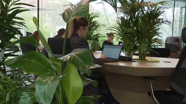 Companiile care cred că un angajat fericit este mai productiv. Condițiile deosebite oferite