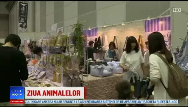 Țara în care sunt mai multe animale de companie decât copii. Stăpânii le fac statui