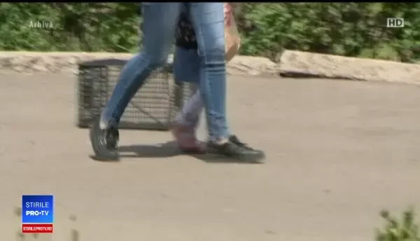 O fetiţă de 3 ani a murit în urma unei infecţii cu E.coli. Ce ar fi mâncat copila