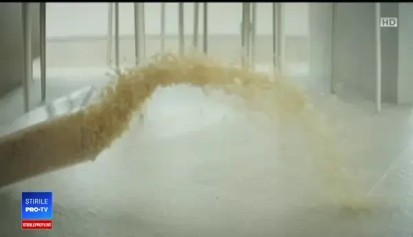 Aparatele inteligente, care comunică între ele, în casele românilor. Există însă un risc