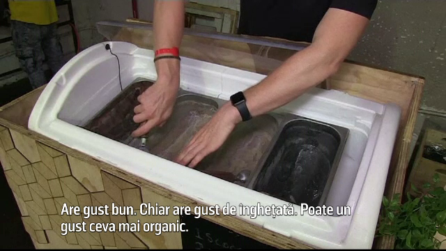 O firmă a produs îngheţată din viermi de muşte. Reacţia celor care o gustă