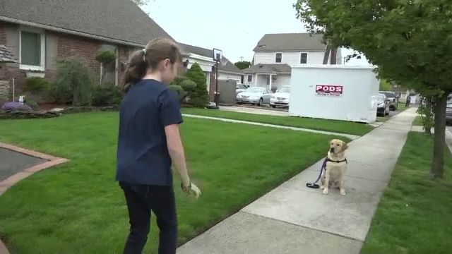 Câinele care ţine în viaţă o copilă grav bolnavă. A costat 15.000 de dolari