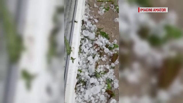 Grindina a provocat pagube uriașe: "Nu mai avem nimic". Sistemul antigrindină, criticat