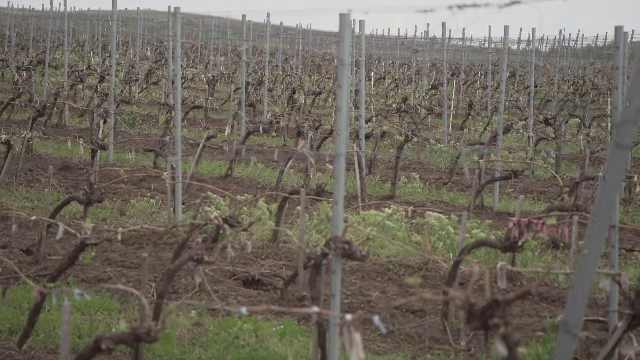 Grindina a provocat pagube uriașe