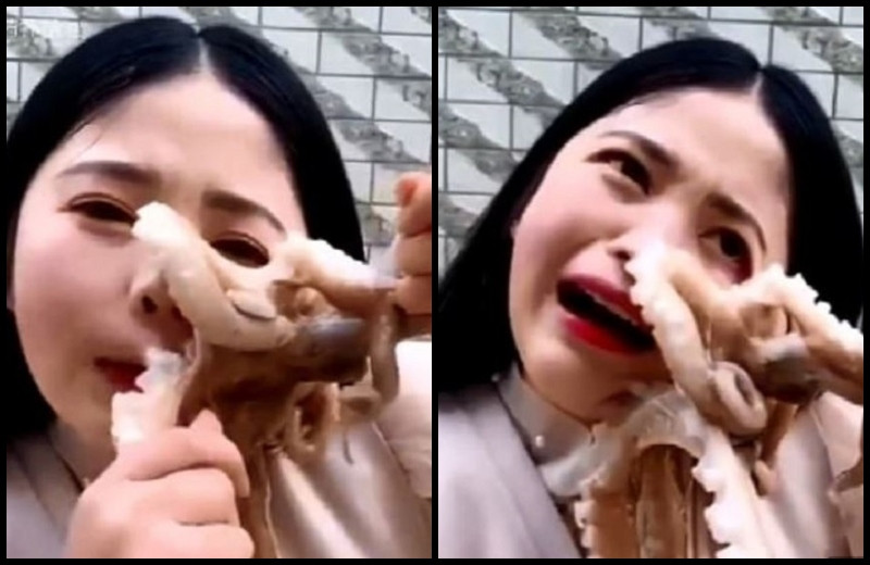 Ce a pățit o vloggeriță care le-a promis fanilor că va mânca o caracatiță vie. VIDEO
