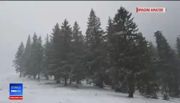 Iarnă în toată regula în unele zone din România. „E groaznic, nu ne aşteptam”