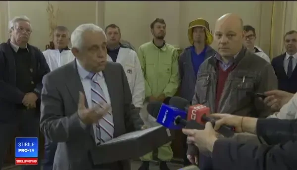 Apicultorii cer interzicerea substanțelor otrăvitoare pentru insecte. Cât de dăunătoare sunt