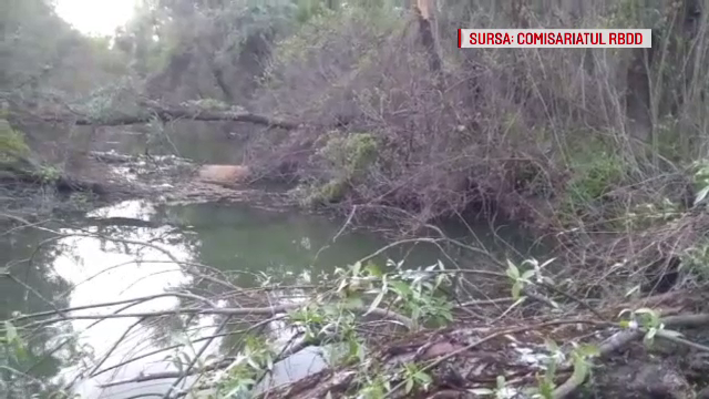 Dezastru ecologic. Cum acționează braconierii pentru a pescui pești din Delta Dunării