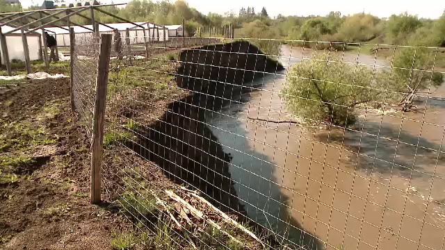 Apele Oltului distrug, zi de zi, grădinile unor agricultori din Covasna
