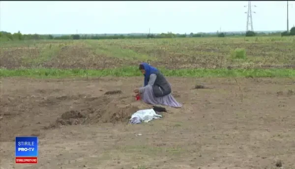 Anchetă după ce doi frați au murit inecați într-o groapă de la stația de epurare