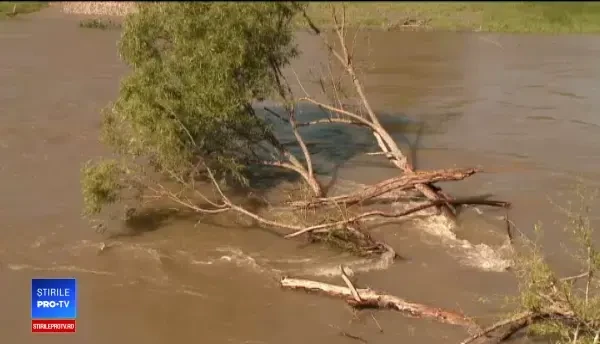 Apele Oltului distrug, zi de zi, grădinile unor agricultori din Covasna