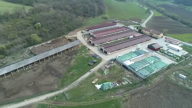 E.U. YES LA VOT. Afacerea unor elvețienii le-a adus prosperitate unor fermieri români