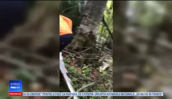 Caz misterios într-o pădure din Maramureş. Un cioban a găsit un elicopter rusesc prăbuşit