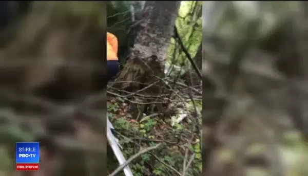 Cum a ajuns un elicopter rusesc în România, fără să fie văzut de radar. Eroarea pilotului