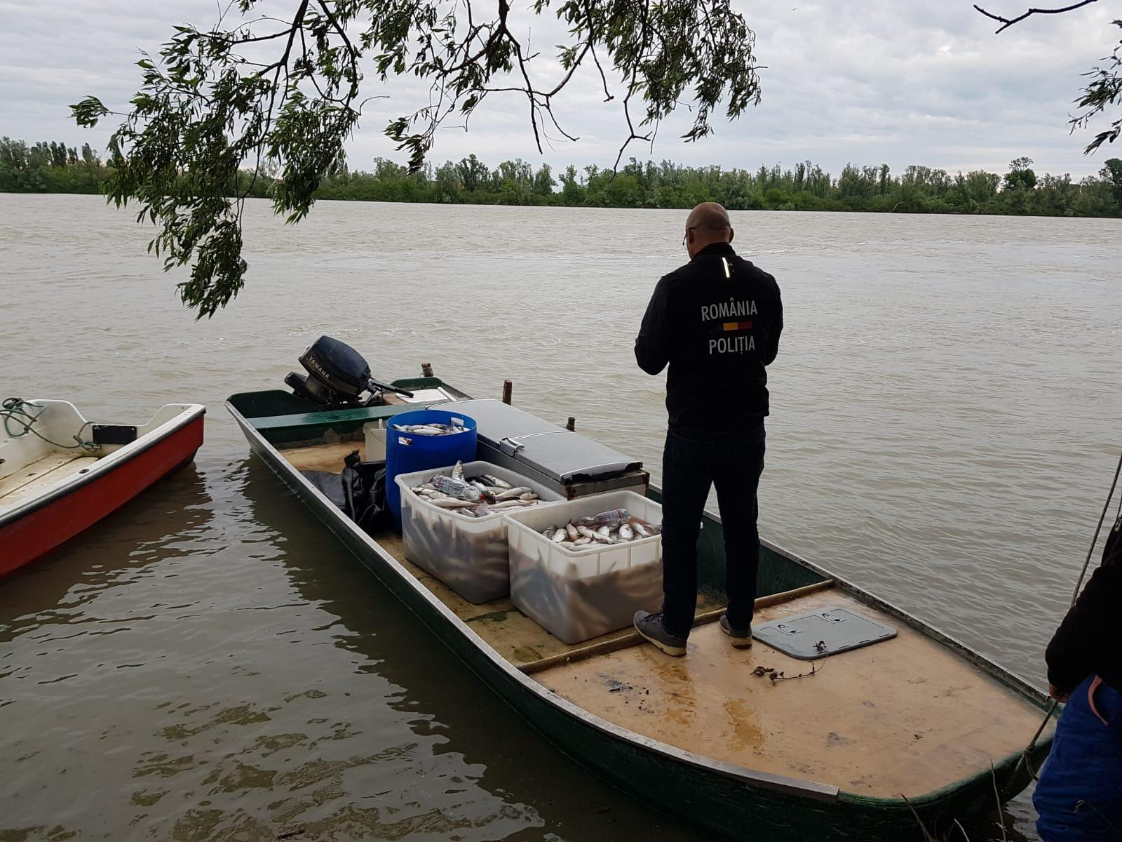 30 de tone de peşte confiscat după sute de percheziții în România și Europa. Ce s-a descoperit