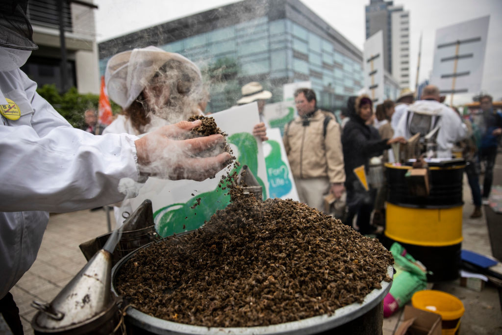 Suma uriașă pe care trebuie să o primească un fermier după ce un erbicid i-a distrus livezile de piersici