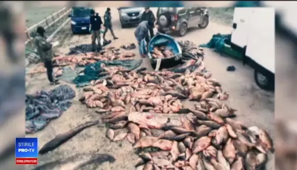 Cum a ajuns în România pește contaminat. "Cam miroase, spală-l şi tu cu oţet"