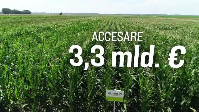 Doi soți s-au mutat în România și au dat lovitura cu o afacere finanțată cu fondurile UE